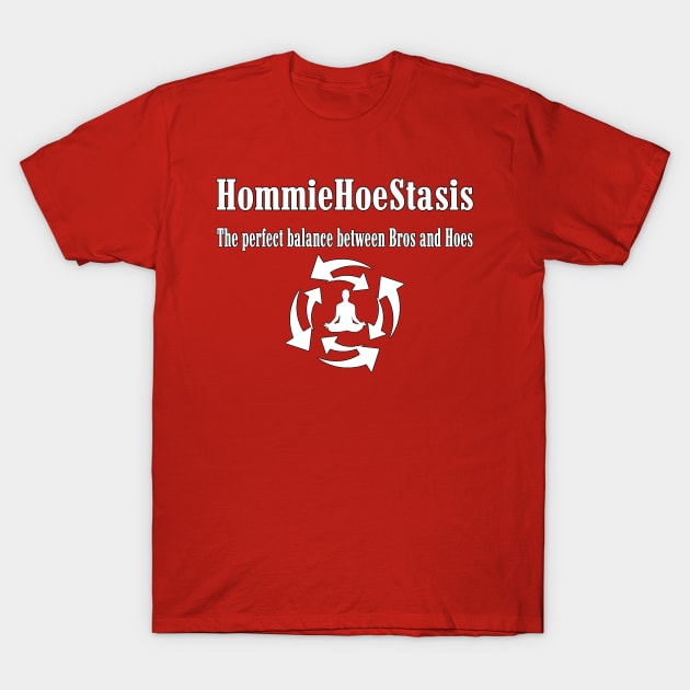 HomieHoeStasis T-Shirt by Destro